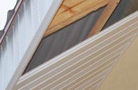 rated Deepweir soffit repair companies